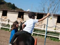  Giochi con la palla sul cavallo 