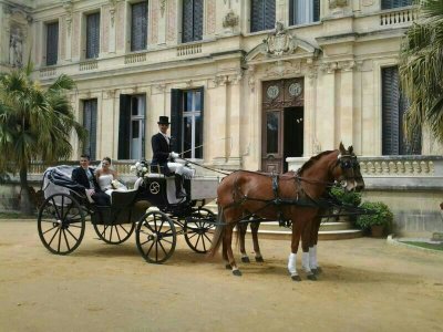 Giro in carrozza alla Barca de la Florida