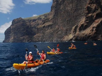 Ruta en kayak a Los Gigantes, 2 horas