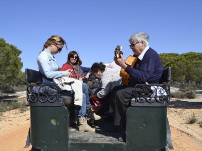 Paseo en carro de caballos a El Rocío con estancia