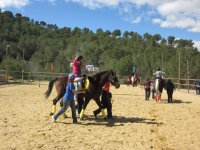 Des chevaux dans le sable 