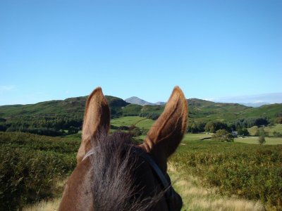 Turnativa Rutas a Caballo