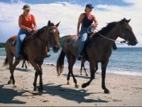  percorso a cavallo 