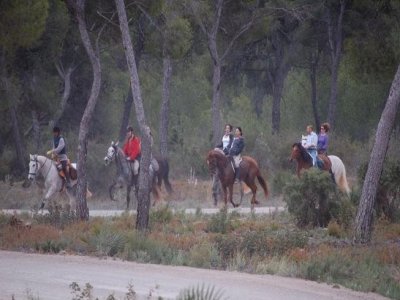 90 min de ruta y 30 min de clase en Náquera