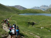  Visite des prairies naturelles 