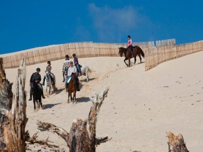 Horseback Riding, Estrecho NP, Summer/Easter,1h
