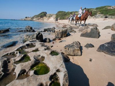 Excursión caballo PN del Estrecho, 3h, verano y SS