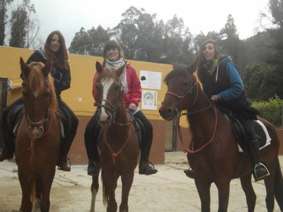 1 hora de clase de equitación en Santa Susanna