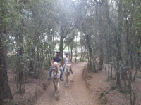 Pareja a lomo de los caballos