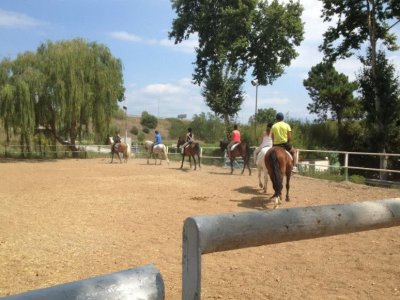 Corso di equitazione 1 mese + percorso attraverso il Vallès