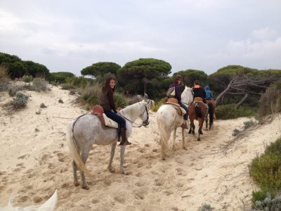 Escapada a Doñana grupos ruta a caballo y ruta 4x4
