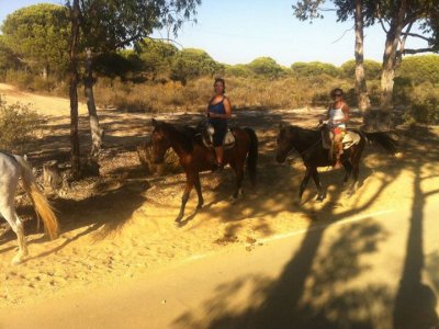Escapada Doñana 1 noche, ruta a caballo y ruta 4x4