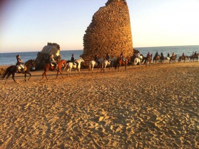 Escapada Doñana y Aldea Rocío, Caballos y 4x4
