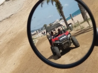  Reflektierter Buggy 