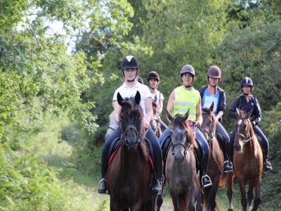 Ruta a caballo Montañas de la niebla + picnic 5-6h