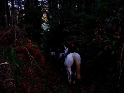 Ruta nocturna caballo Luar, cava y alojamiento