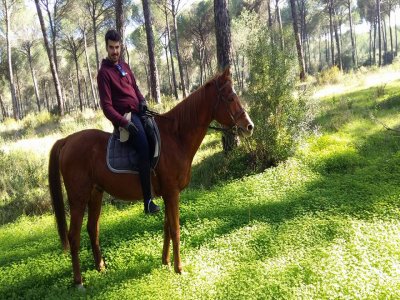 Ruta a caballo por el Parque de Doñana 90 minutos