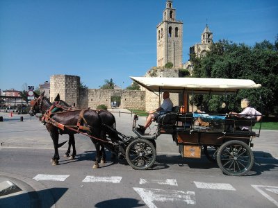 Ruta en carruaje a los pies de Montserrat 2-3 h.