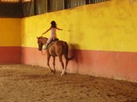  Peque a cavallo 