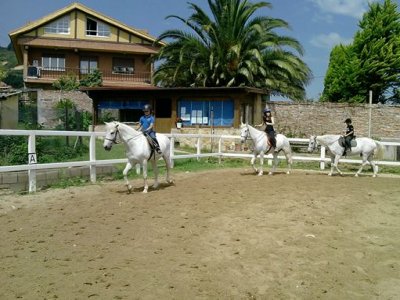 Camp. équitation + hébergement, S. Santa, Trapagaran