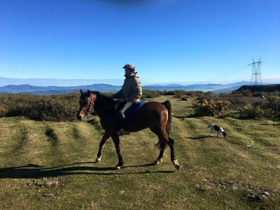 Equestrian camp Easter Trapagarán