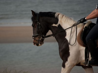 Rutas a caballo por la playa Santander