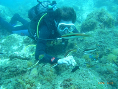 Sea diving baptism from beach, Fuengirola