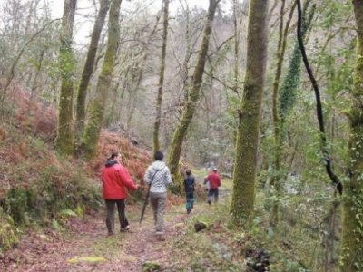 Actividades Natureza DAN Senderismo