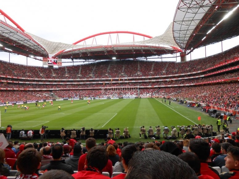 E.F. Benfica Badajoz - Campus de Fútbol