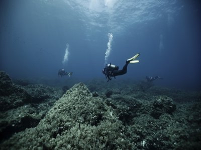 PADI Open Water en la Reserva Marina