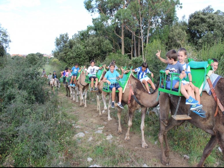 Excursion en dromadaire 