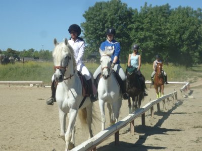 Clase iniciación equitación, Escorial 30 minutos