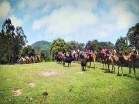  Balade en dromadaire dans la réserve naturelle