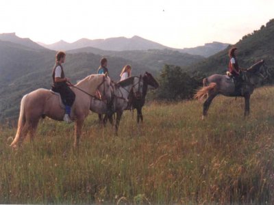 Caballos de Ailanes