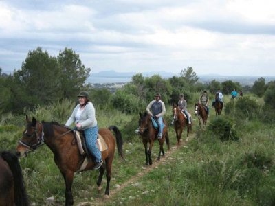 Ranxo Ses Roques