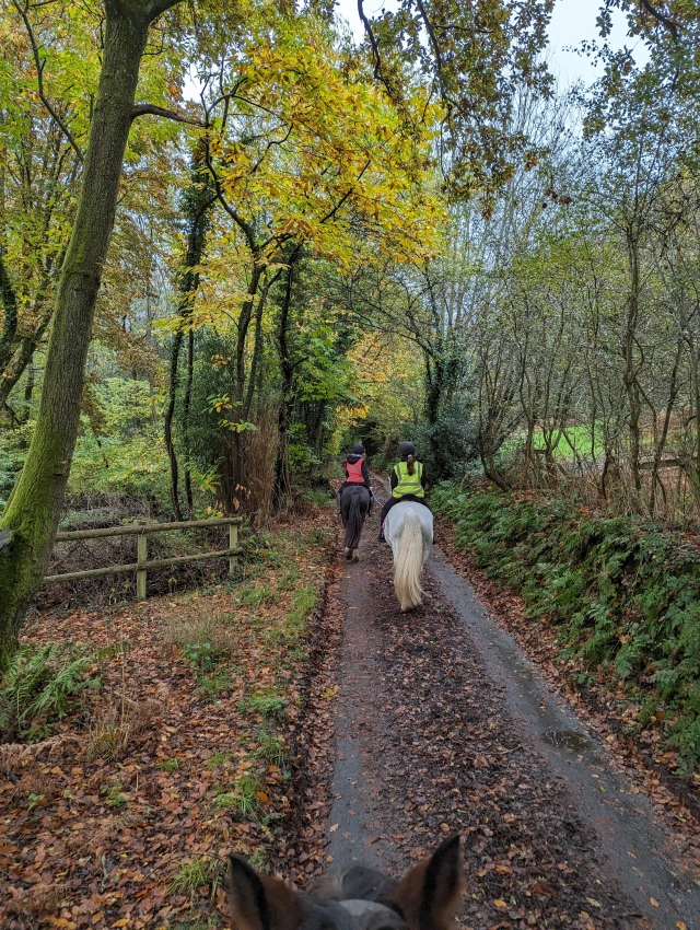 Opinión de Niall sobre Paseos a caballo por Portland y granja para principiantes 1,5 h