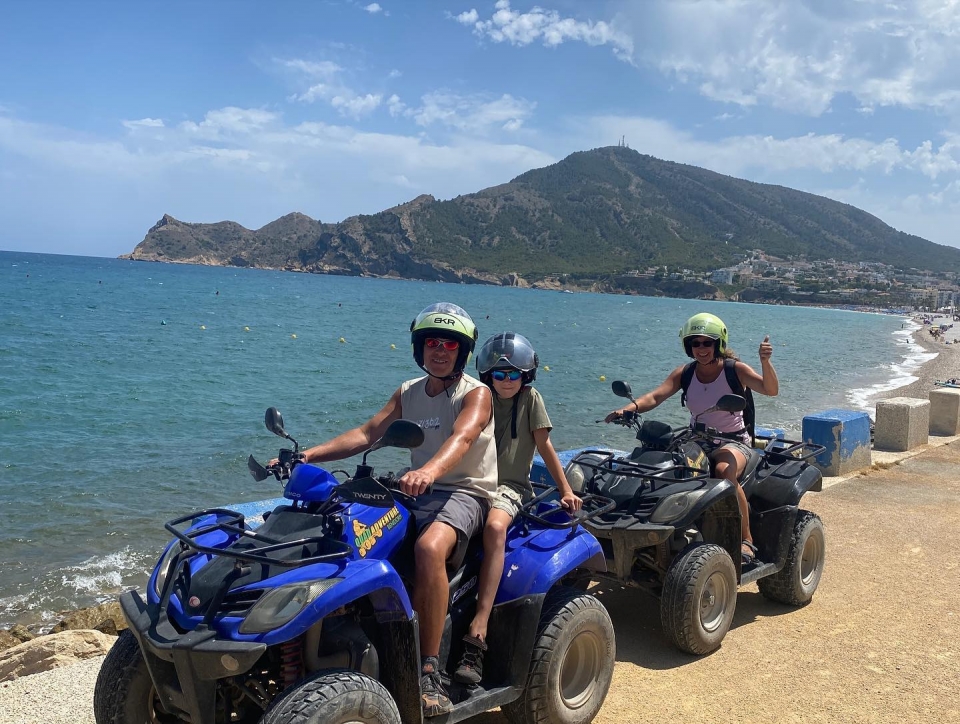 Quad license