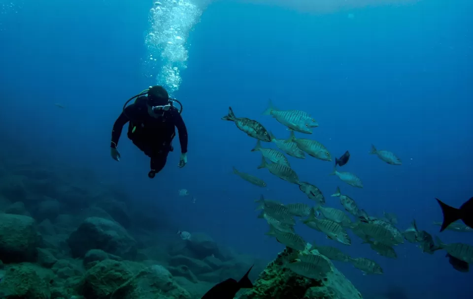 Consigue un buen equipo de buceo