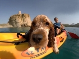 5 actividades de aventura para hacer con tu mascota 