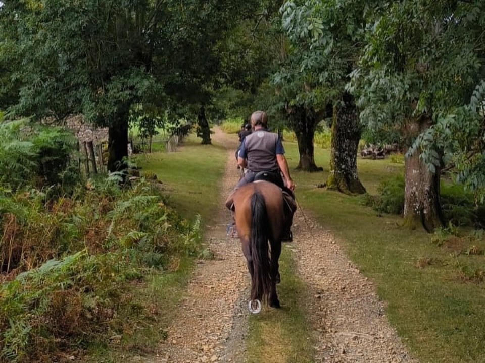  Expériences d'équitation en Navarre 
