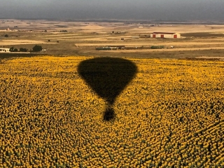 Spazierengehen ist zu kurz gedacht: 5 Möglichkeiten, den Frühling zu genießen