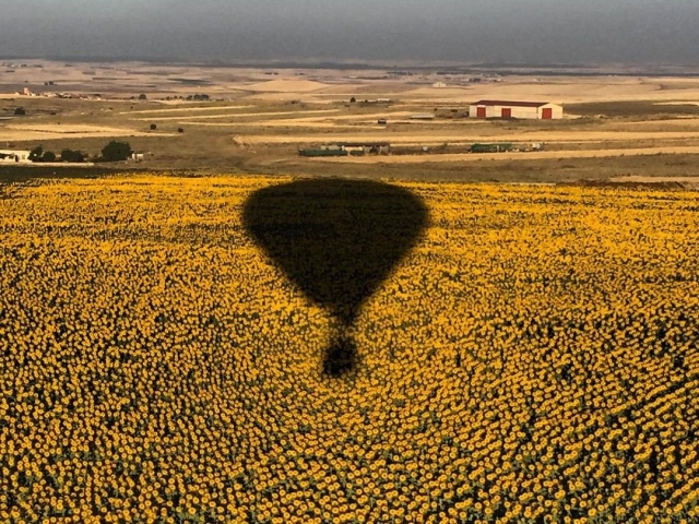 散步遠遠不夠：5種享受春天的方式