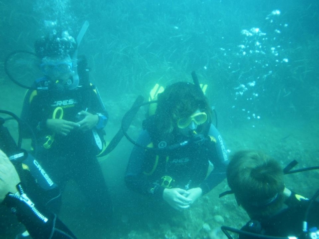 submarinismo con profesionales