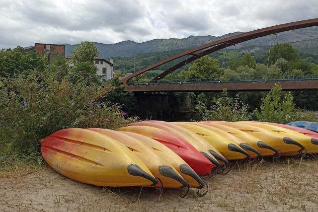 Flota de canoas para hacer descenso