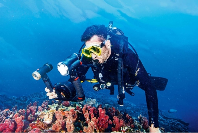 Fotografiando el fondo marino