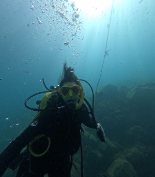 res_o-65195-buceo_de_asuncion_17544827377067.jpeg