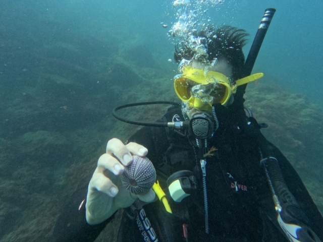 Opinión de Solange sobre PrograDiscover Scuba 3 horas Marina del Este