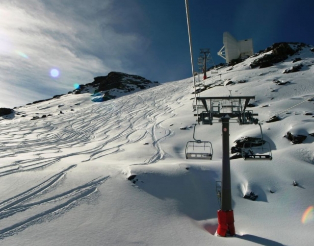 Telesilla en Sierra Nevada