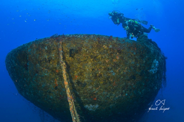 Buceo en Almería