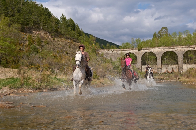  At a full gallop 